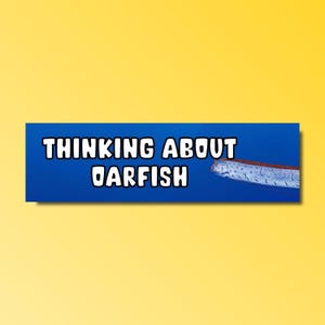 Thinking about oarfish bumper sticker, oarfish meme, funny bumper sticker, silly genz z meme sticker, offensive car sticker, waterproof