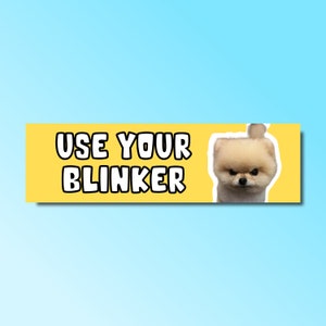 Usa il tuo adesivo per paraurti, l&#39;adesivo divertente per il paraurti, l&#39;adesivo stupido genz z meme, l&#39;adesivo offensivo per auto, impermeabile