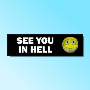 See you in hell bumper sticker, funny bumper sticker, silly genz z meme sticker, offensive car sticker, waterproof