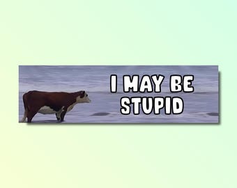 I May Be Stupid Bumper Sticker, Funny Bumper Sticker, Silly Genz Z