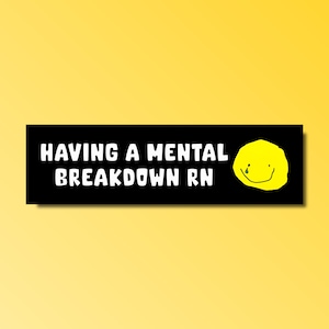 Having a mental breakdown rn bumper sticker, funny bumper sticker, silly genz z meme sticker, offensive sticker, mental breakdown sticker
