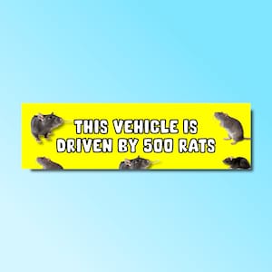 500 Rats Sticker Etsy