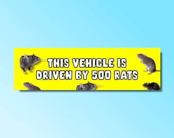 This vehicle is driven by 500 rats bumper sticker, funny bumper sticker, silly genz z meme sticker, offensive car sticker, waterproof