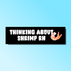 Thinking about shrimp bumper sticker, funny bumper sticker, silly genz z meme sticker, offensive car sticker, waterproof, shrimp meme
