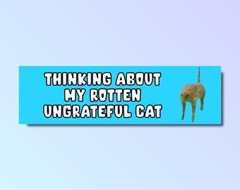 Thinking about my rotten ungrateful cat bumper sticker, funny bumper sticker, silly genz z meme sticker, cat bumper sticker, cat meme