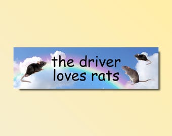 May include: A blue sky with a rainbow and three black rats. The text "the driver loves rats" is written on the rainbow.
