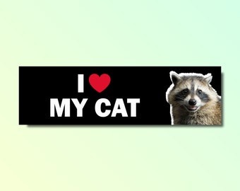 Funny racoon bumper sticker, funny bumper sticker, silly genz z meme sticker, offensive car sticker, racoon bumper sticker