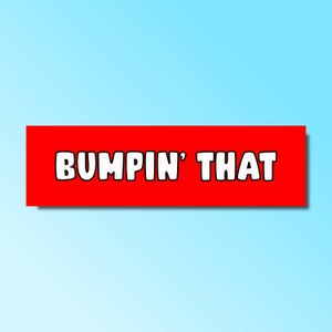 Autocollant de pare-chocs, autocollant de pare-chocs drôle, autocollant meme genz z idiot, autocollant de voiture petite amie, mauvais conducteur, imperméable