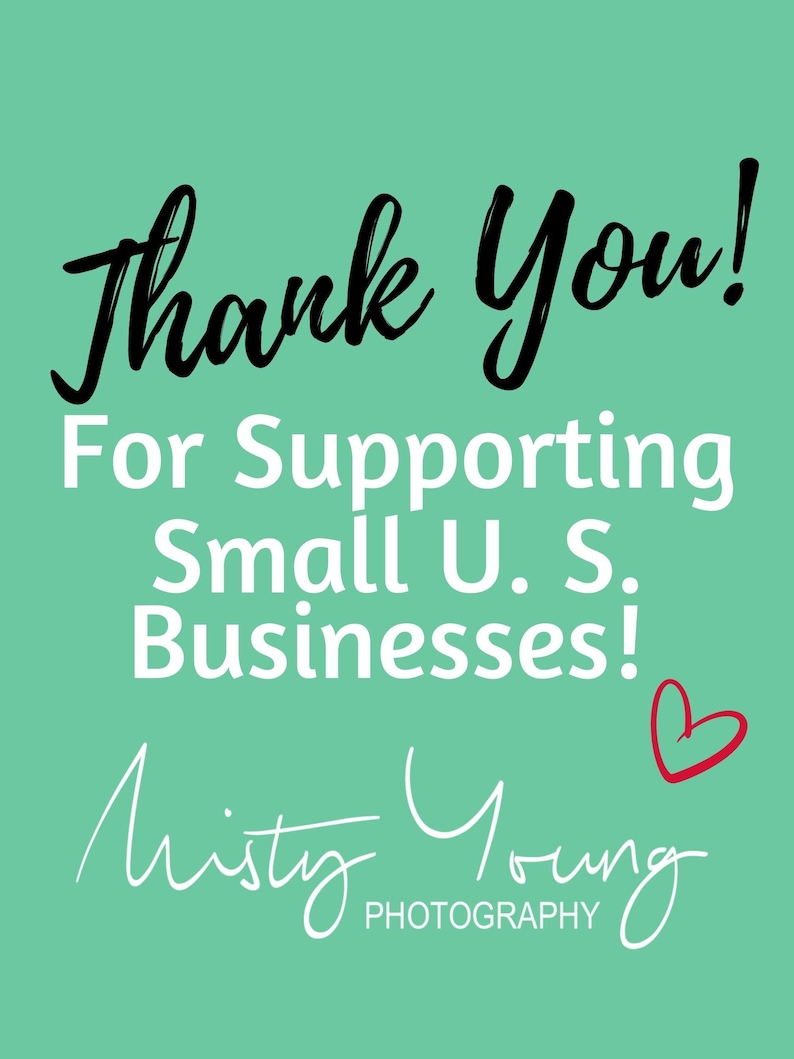 Poster style thank you image expressing appreciation for supporting a small business, included with purchase of a double sided ceramic coffee mug featuring monarch caterpillar artwork with humorous Crazy Cat Lady pun design, thoughtful gift for butterfly lovers, gardeners, and nature enthusiasts