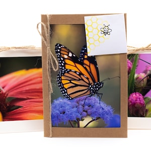 Hand Crafted Greeting Cards (butterflies Collection) - SET OF 4 CARDS ...