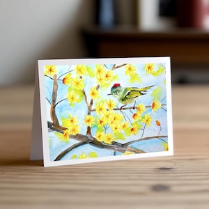 Greeting Cards "Spring Kinglet"