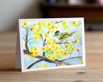 Greeting Cards "Spring Kinglet"