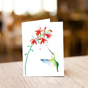 Greeting Cards "The Hummingbird"