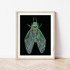 May include: A framed print of a green cicada with detailed wings against a black background.