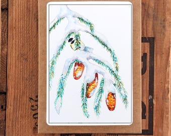 Winter Bird Watercolor Card Set (Set of 6)