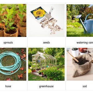 3-delige tuinmontessorikaarten
