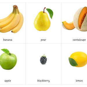 Driedelige fruitmontessorikaarten