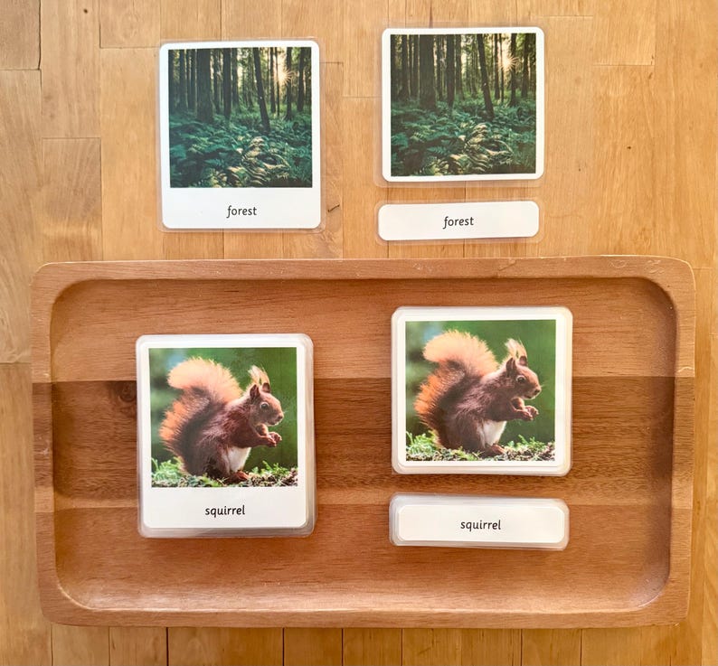 Forest Habitat Montessori 3 Part Cards - Etsy