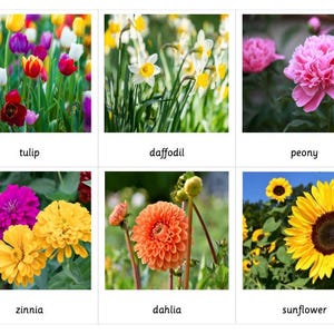 Flower Montessori 3 Części Karty