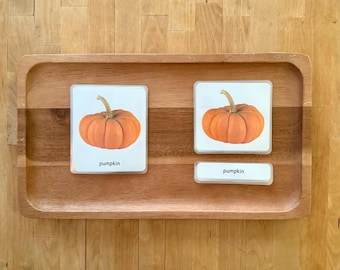 Cartes Parties d'une citrouille Montessori en 3 parties