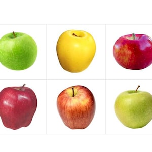 Montessori 3 Part Cards - Types of Apples