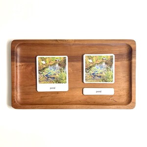 Pond Habitat Montessori 3 Part Cards - Etsy