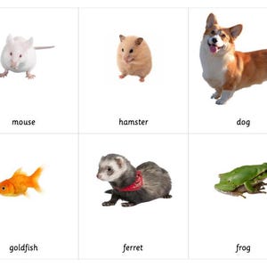 Tipos de mascotas. Tarjetas Montessori de 3 partes con objetos lingüísticos.