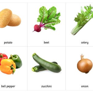 Vegetable - Montessori 3 Part Cards