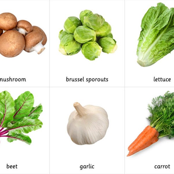 Montessori 3 Part Cards - Vegetables