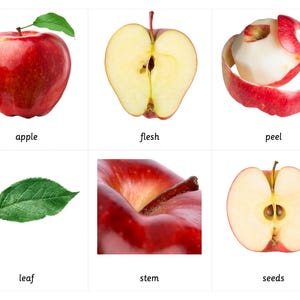 Morceaux de pomme - Cartes Montessori en 3 parties