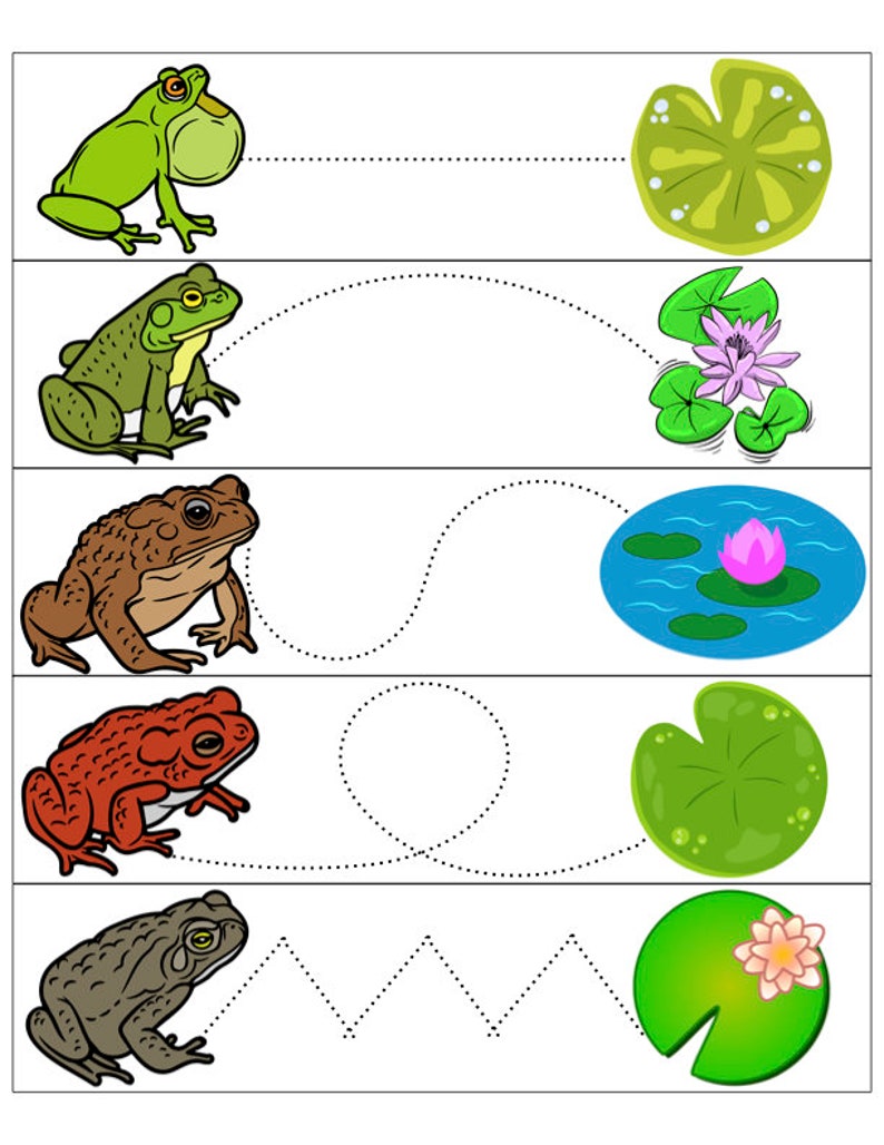 Montessori Frog Activity Bundle - Etsy