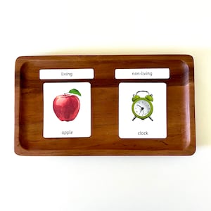 Cartões de classificação Montessori - Vivos e não vivos