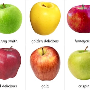 Cartes Montessori en 3 parties - Types de pommes