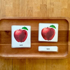 Parts of an Apple - Montessori 3 Part Cards