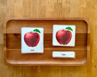 Cartes en 3 parties Parties d'une pomme Montessori