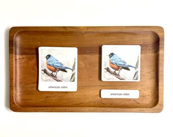 Backyard Birds Montessori 3-teilige Karten