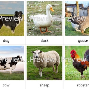 Cartes Montessori en 3 parties - Animaux de la ferme