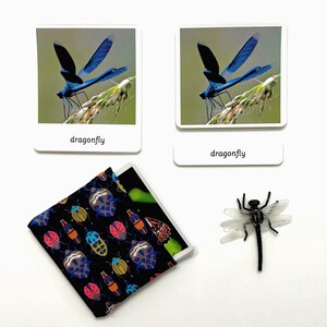Insectes - Cartes Montessori en 3 parties