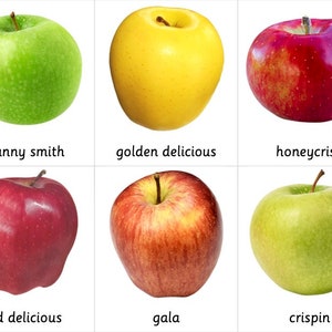 Montessori 3-teilige Karten - Arten von Äpfeln