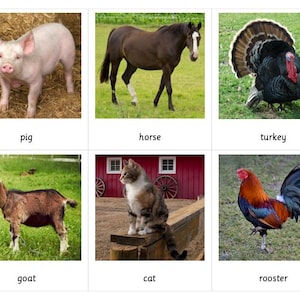 Farm Animal Montessori 3 Part Cards - Etsy