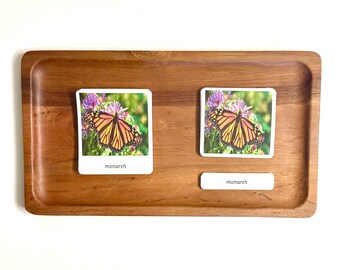 Types of Butterflies Montessori 3 Part Cards