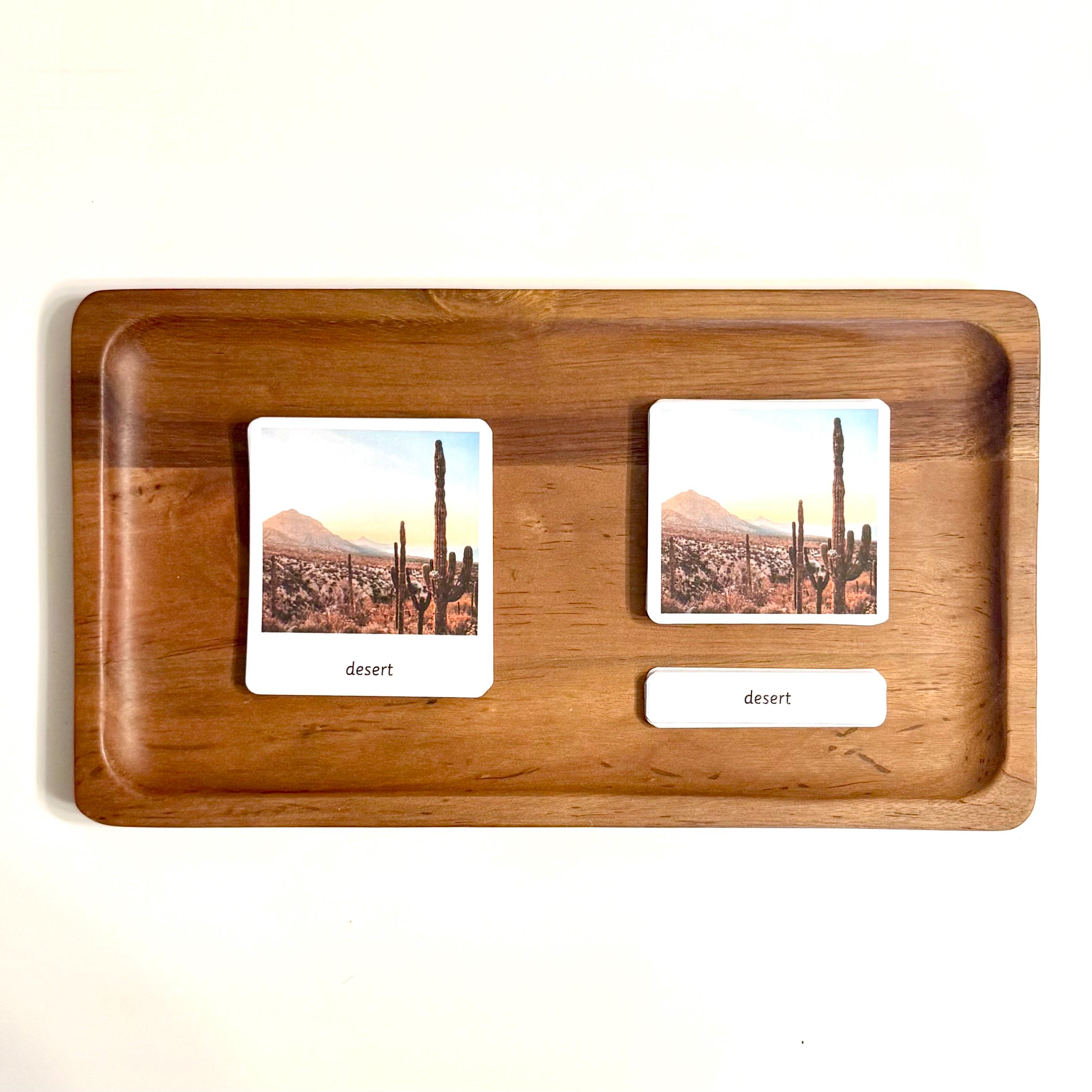 Desert Habitat - Montessori 3 Part Cards - Etsy