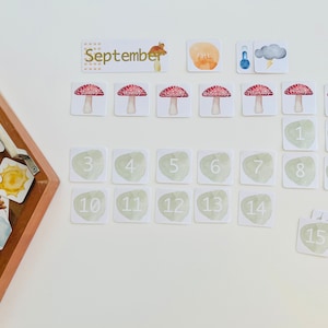 Kaartenset klaskalender - Toadstool
