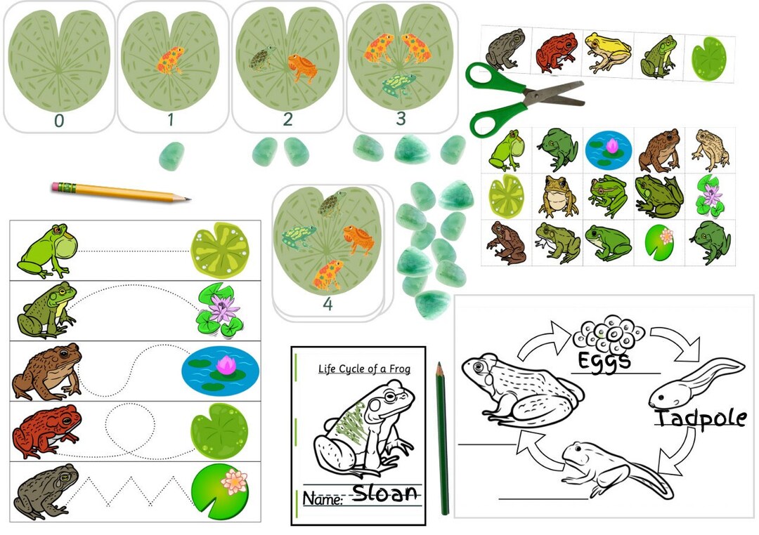 Montessori Frog Activity Bundle - Etsy