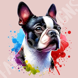 Boston Terrier Hund Clipart Aquarell Hund Clipart Sublimationsdesigns, Hunderasse PNG-Datei, niedliche digitale Illustration, Portrait-Drucke