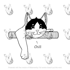 Op de afbeelding: Een zwart-witte kat met een schattige uitdrukking rust zijn kop op een houten rand. De poten van de kat hangen over de rand. Het woord "Chill" staat onder de kat.