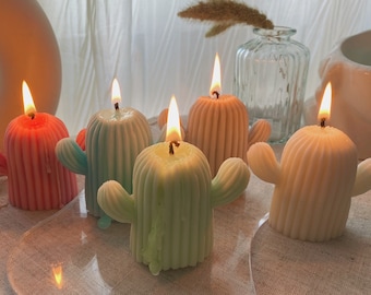 Cactus Candle Set | Homemade Cactus Candle | Succulent Candle