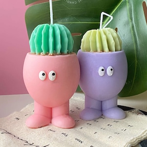 Cactus in Pot Plant Candle, Succulent in Terracotta Pots, Fake Houseplant, Cactus Decor, Cacti Perfect Plant Gift Idea, House Plant Lovers