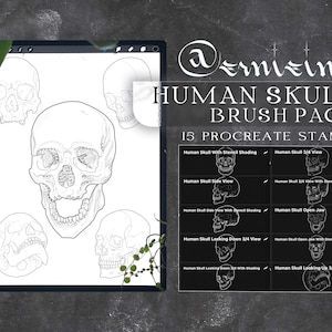 15 Human Skull | Procreate Pack Brush Stamp | Tattoo Artist | Graphic Design | Digital Creation | Drawing | Linework | Dot Stippling Shading