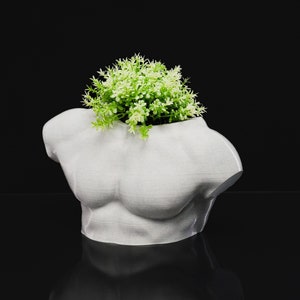 Könnte beinhalten: Ein weißer Pflanzer in Form eines menschlichen Torsos mit einer kleinen grünen Pflanze, die aus der Oberseite wächst.